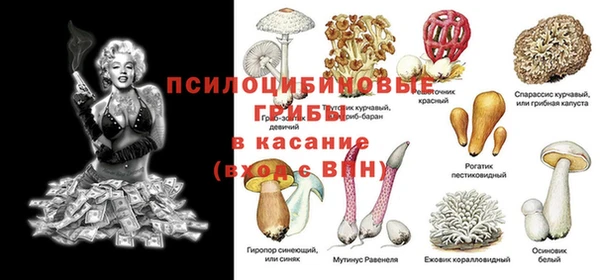 индика Алексеевка